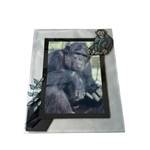 CHIMPANZEE FRAME